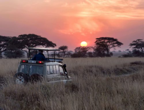 Top African Tourism trends for 2021