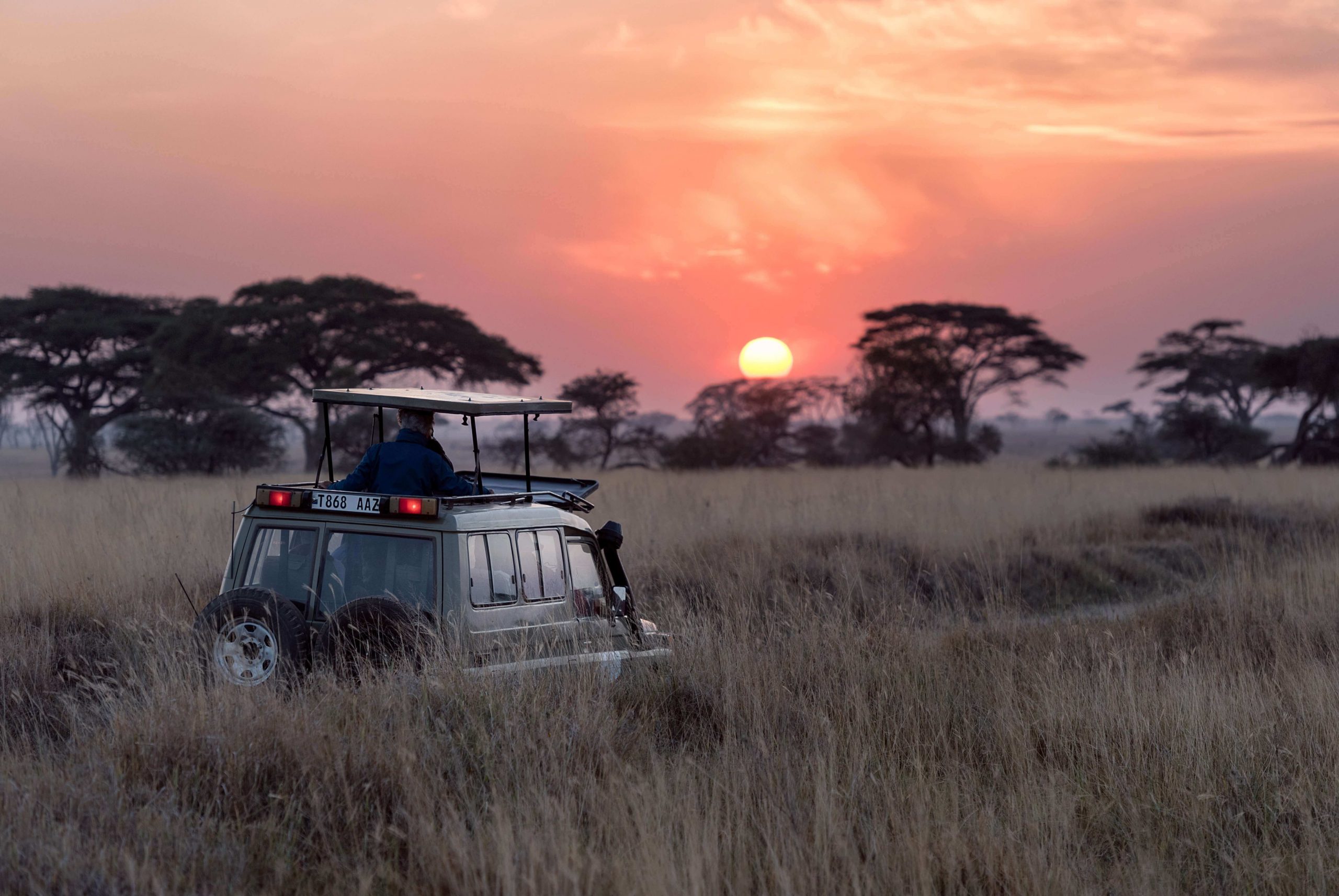 African Tourism Trends unsplash